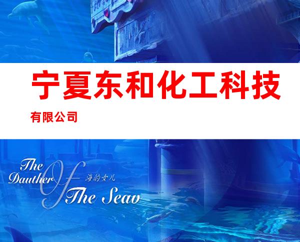 宁夏东和化工科技有限公司